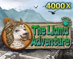 The Liama Adventure